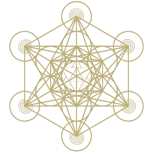 Patricia Kilk -  Onlineschule